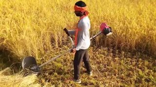 Dụng cụ làm vườn và máy cắt chổi chạy xăng tất cả trong một