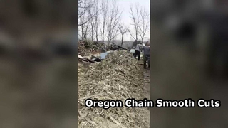 Xích Oregon Chainsaw: Cắt êm ái, hiệu suất lâu dài