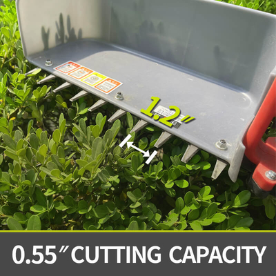 Tea Harvesting Machine Lightweight Design Comfortable For Long Use